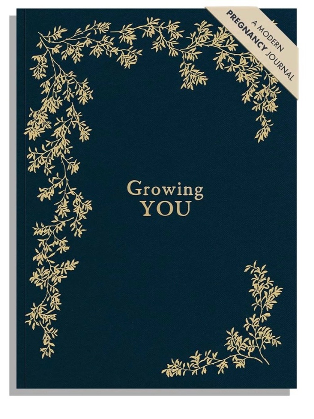 Growing You Pregnancy Journal & Affirmation Cards bundle NEW